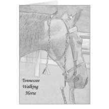 Tennessee Walking Horse card