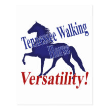 Tennessee Walking Horse Versatility Post Cards