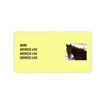 Tennessee Walking Horse Your Background - Western Personalized Address Labels