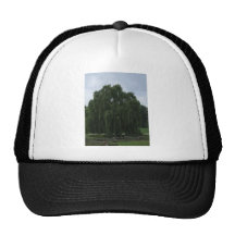 Tennessee Willow Tree Hat