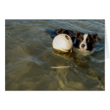 Tennis balls are for weaklings! card