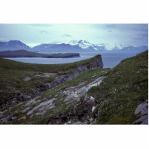 Terrace Island, Wide Bay Cut Outs