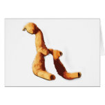 Terrakroma oyster greeting cards