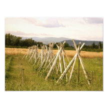 Terres cultivables tirages photo