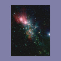 Terrible Twos Stars postcards