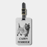 terrier de cairn