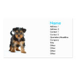 terrier de Yorkshire de modèle de carte de visite