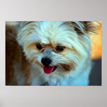 Terrier Posters