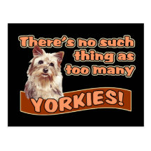 TERRIERS DE YORKSHIRE CARTES POSTALES