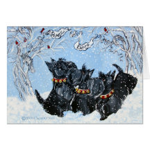 Terriers écossais dans la neige ! carte