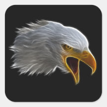 Tête américaine criarde d'Eagle chauve Stickers Carrés