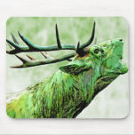 Tête de renne de mâle - pâlissez - dos de vert tapis de souris