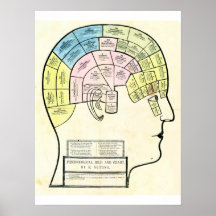 Tête et diagramme phrénologiques de l'antiquité 18 posters