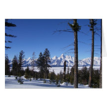 Tetons en février carte de vœux