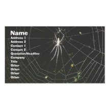 Tetragnathid Orb Weaver Spider Business Card