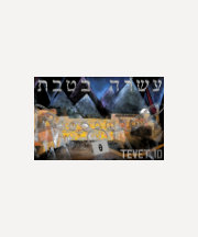 Tevet 10 tee shirts