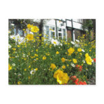 Tewkesbury cottages and Garden postcards