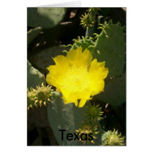 Texan Cacti Flower Card