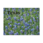 Texas Bluebonnets Post Cards