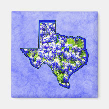 TEXAS BLUEBONNETS REFRIGERATOR MAGNET