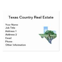 Texas Business Card business cards