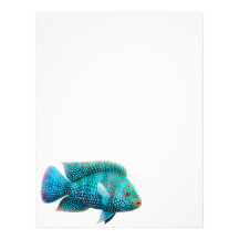 Texas Cichlid Fish Letterhead
