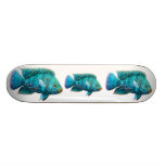 Texas Cichlid Fish Skateboard