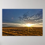 Texas Country Poster