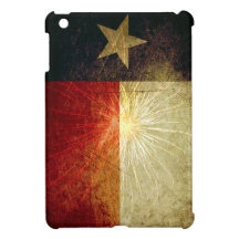 Texas Flag Firework Case For The iPad Mini