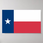 Texas Flag Poster