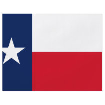 TEXAS FULL COLOR FLYER
