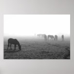 Texas Fog Posters