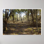 Texas Forest posters