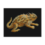 Texas Horned Lizard Post Cards