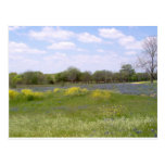 Texas Landscape Postcards