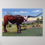Texas Long Horn Steer Poster