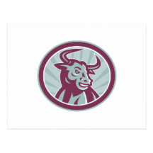 Texas Longhorn Bull Retro Postcards
