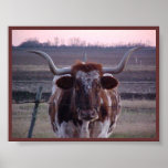 Texas Longhorn Print