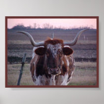 Texas Longhorn Print