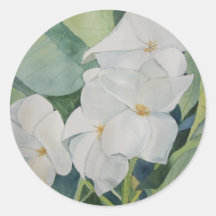 Texas Magnolia sticker