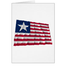 Texas Naval Ensign Greeting Card