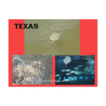 TEXAS POSTCARD