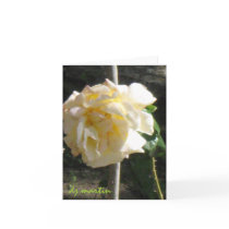 Texas Rose Cards