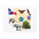Texas State Symbols Post Cards