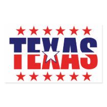 Texas Sticker