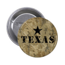 Texas, the Lone Star State Pin