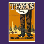 Texas Travel Vintage Poster posters