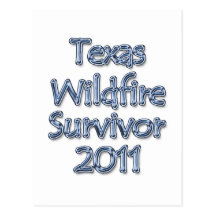 Texas Wildfire Survivor 2011 Blue Postcard