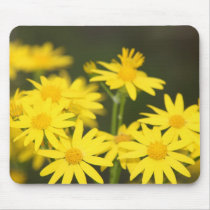 Texas Wildflower: Early Spring Golden Ragwort Mousepad