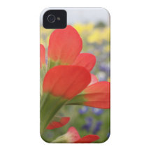 Texas Wildflowers iPhone 4 Cases